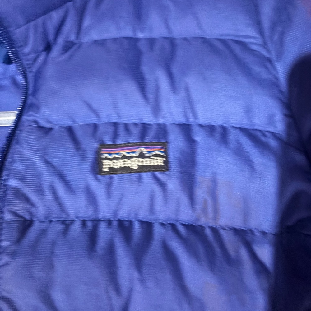Patagonia Royal Blue Quilted Jacket
